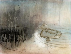 Decoy1_Drawing