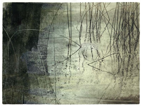 Surface-Tension_transfer print_Greenlake