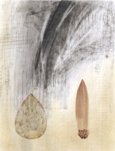 Manuscript