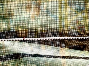 Barrier View 2 (Rope)