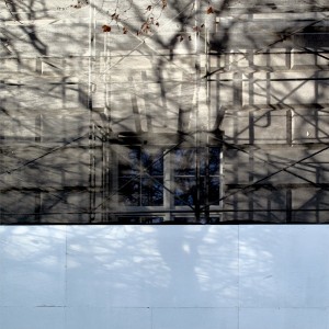 Shadow and Scaffold 2 (Blue)