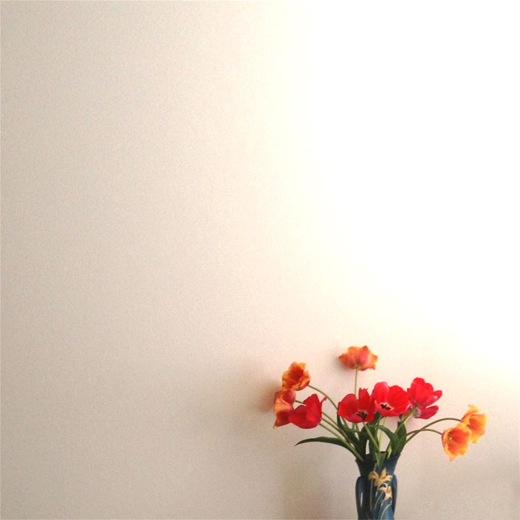 Flowers In White