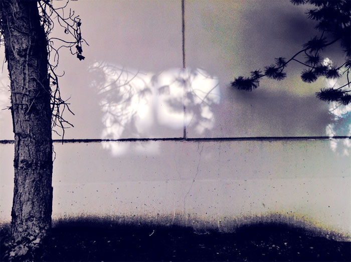 Hokusai On Highway 99 Morning