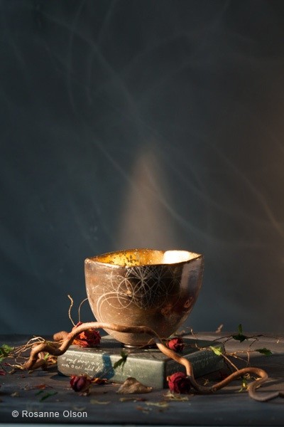 Photograph copyrighted by Rosanne Olson.