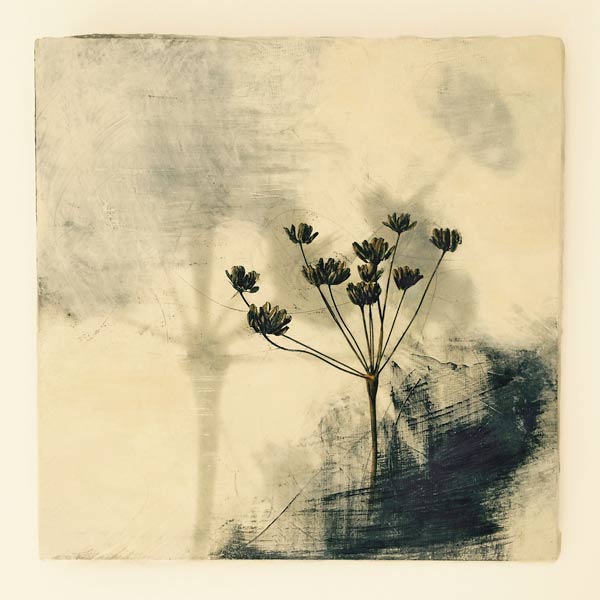 Seed and shadow