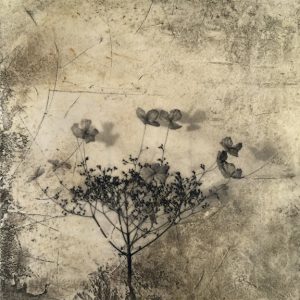 Flowers for Goethe, mixed media on plaster