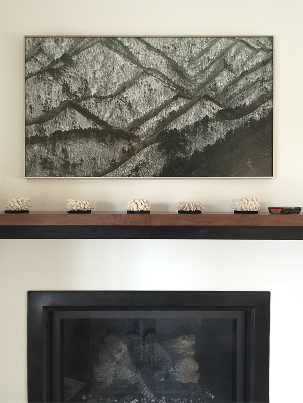 Johsel Namkung photograp in the home