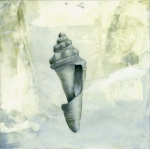 Spiral shell painting by Iskra