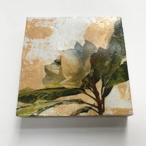Magnolia Venetian Plaster by Iskra