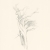 Windshaped, tree drawing by Iskra