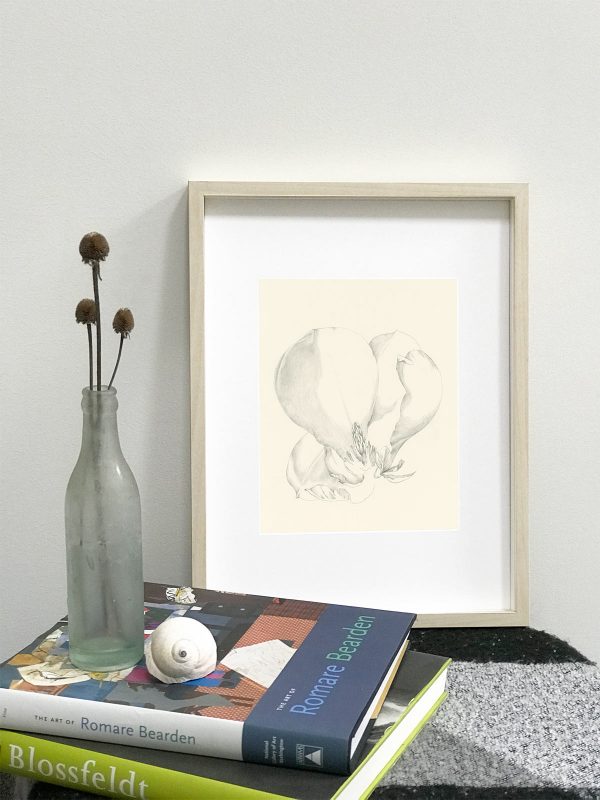 Magnolia drawing in Ikea Hovsta frame
